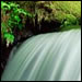 The Mikvah