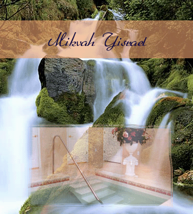 mikvah yisrael copy.gif